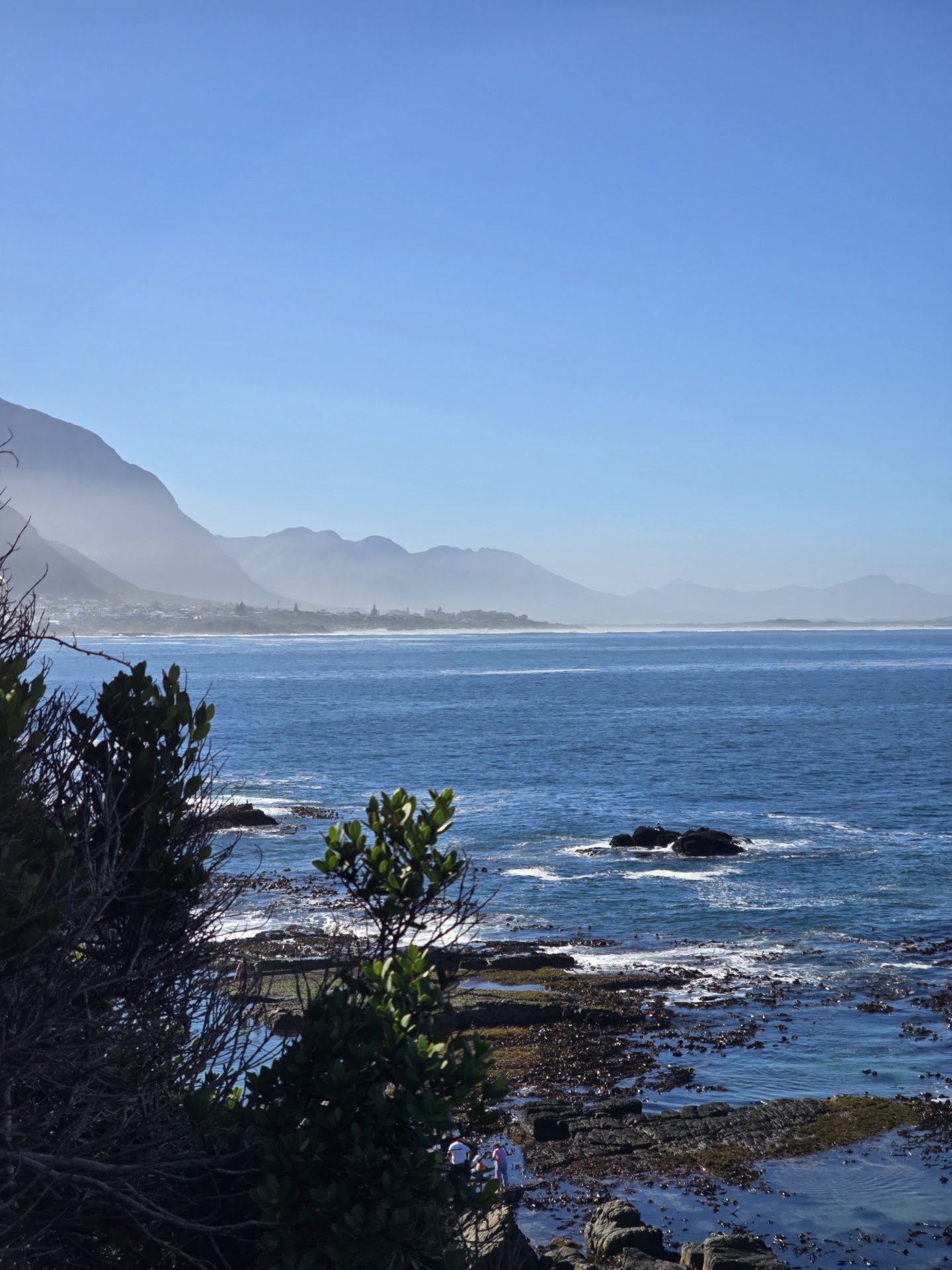 Wooden bench and railing on the Hermanus Cliff Path overlooking Walker Bay