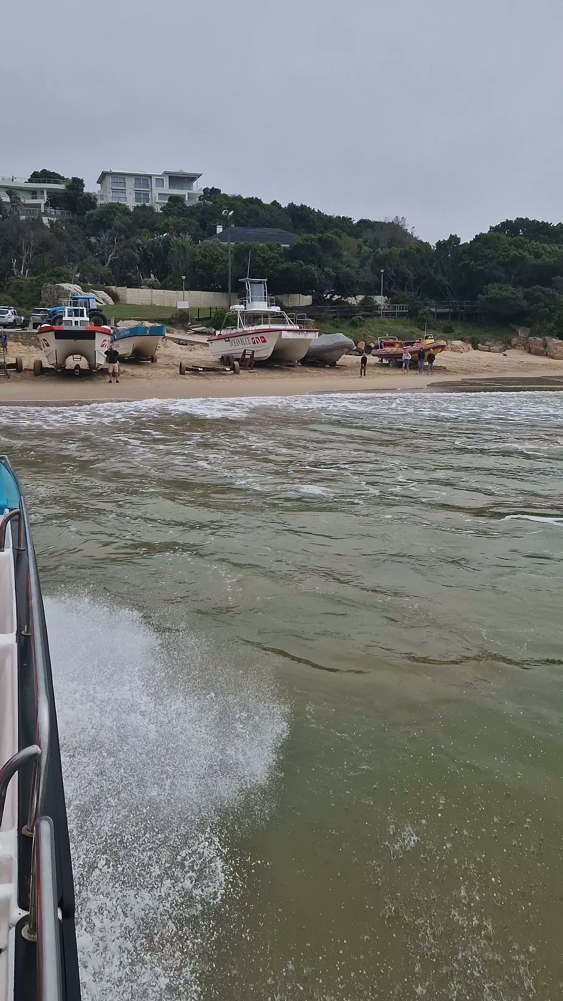 Additional Plettenberg Bay whale watching footage — calm Garden Route bay and marine wildlife